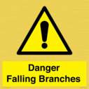 danger-falling-branches~